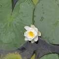DSC00858